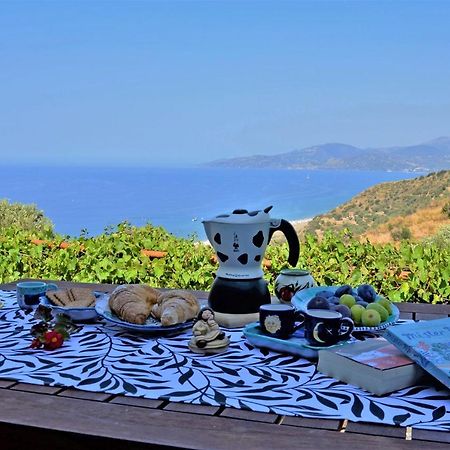 Villa Terrazza degli Angeli Ascea Esterno foto