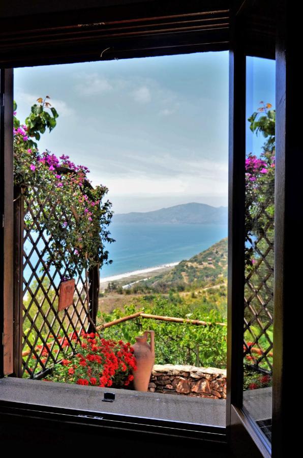 Villa Terrazza degli Angeli Ascea Esterno foto